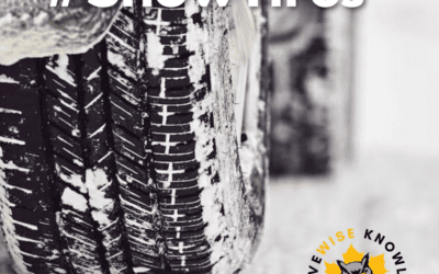 Get a Grip: The Importance of Tires for Vehicle Safety.